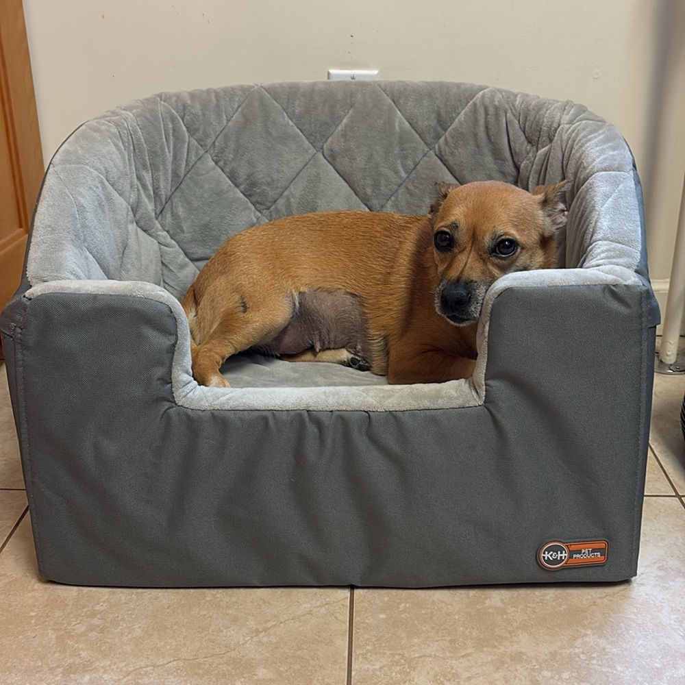 K and H brand Gray Quilted Pet Car Seat